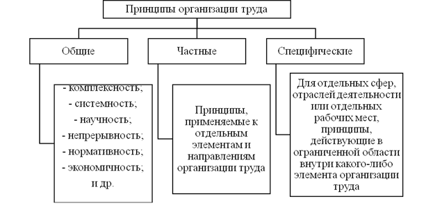 Совокупность трудовых операций направленных на выполнение функций управления это руководство