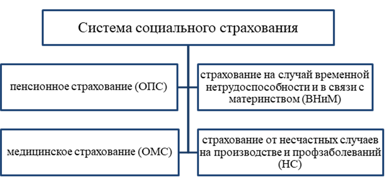 Стороны обязательного социального страхования